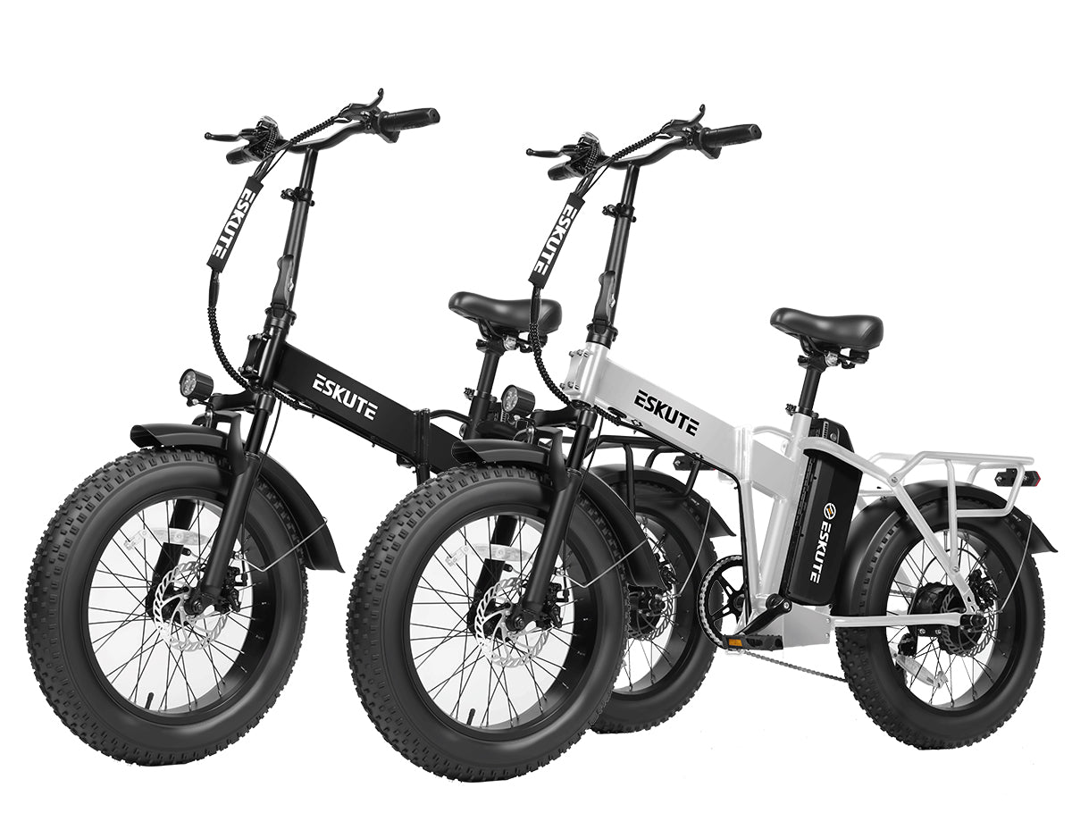 Eskute® Ebike Combo Sale D300 *2