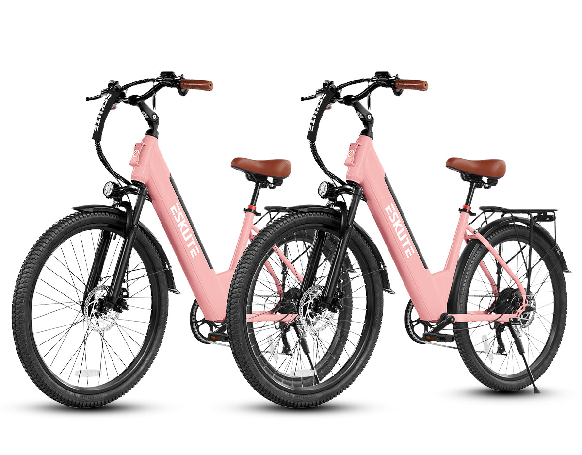 Eskute® Ebike Combo Sale C100 Plus *2