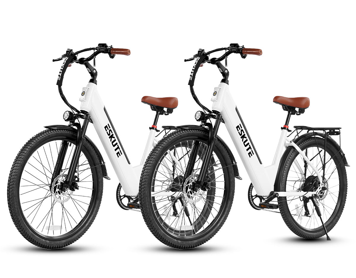 Eskute® Ebike Combo Sale C100 Plus *2