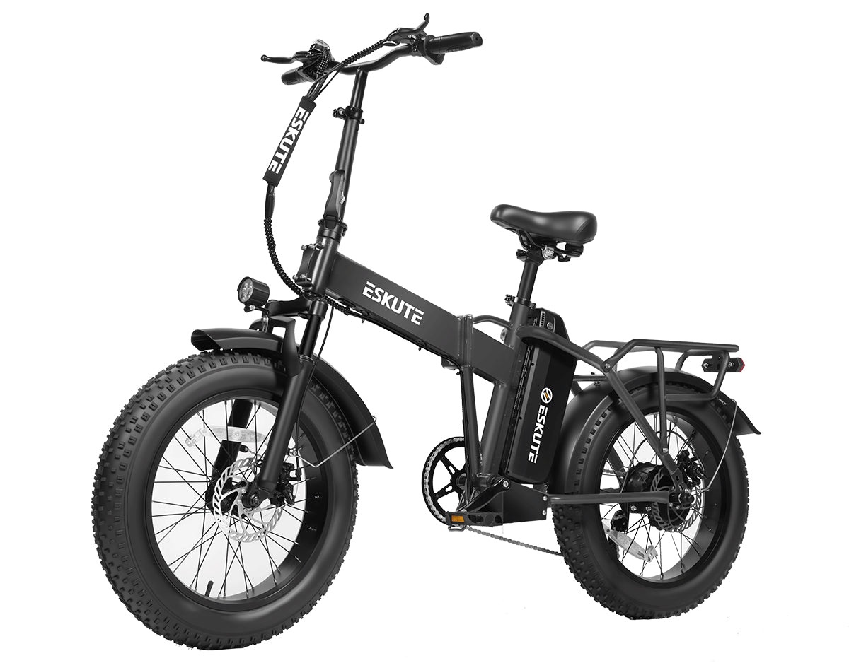 Eskute® D300 Adventurer Ebike