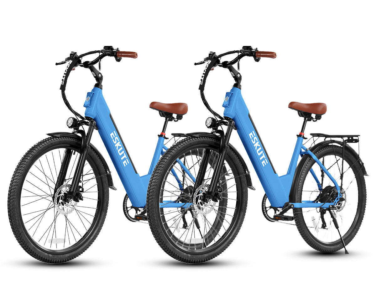 Eskute® Ebike Combo Sale C100 Plus *2
