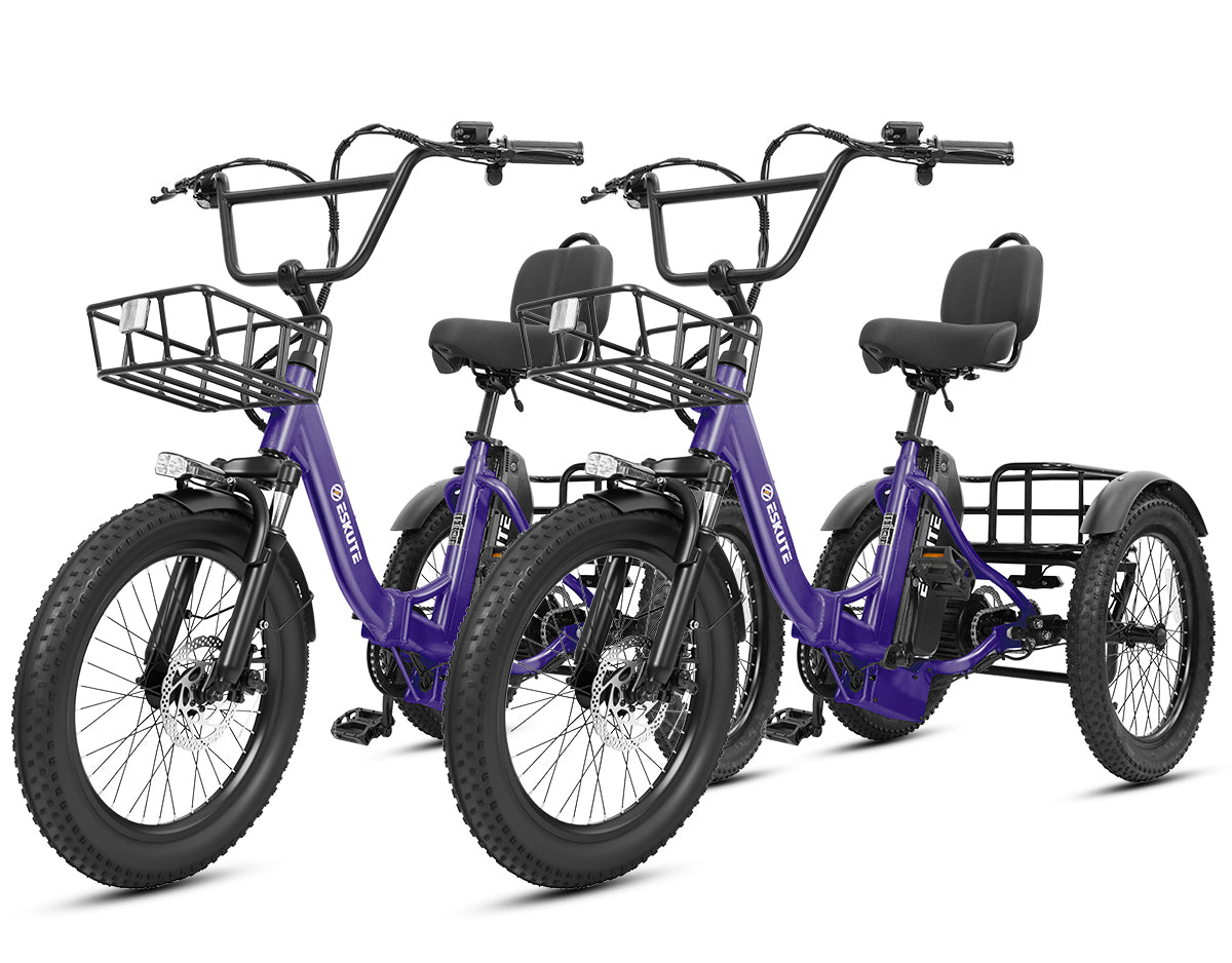 Eskute® Ebike Combo Sale T300Max*2
