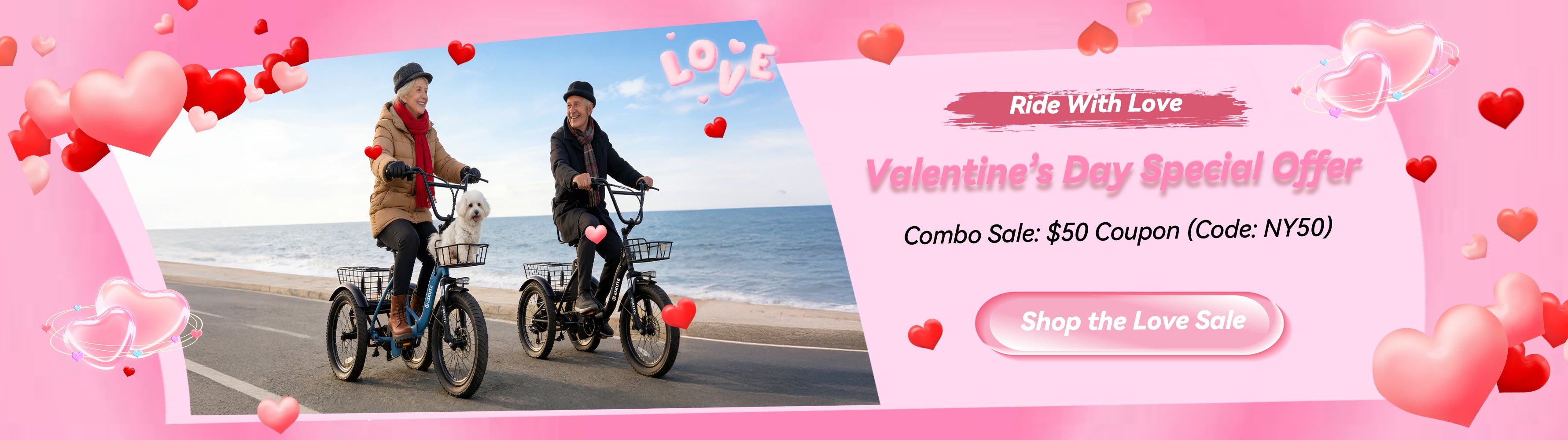 Valentine's Day Sale