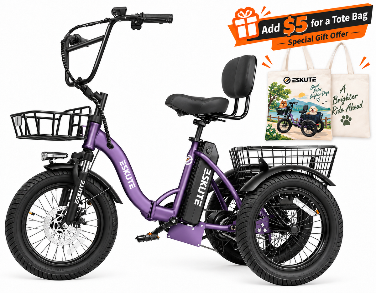 Eskute® T300 Folding Electric Trike
