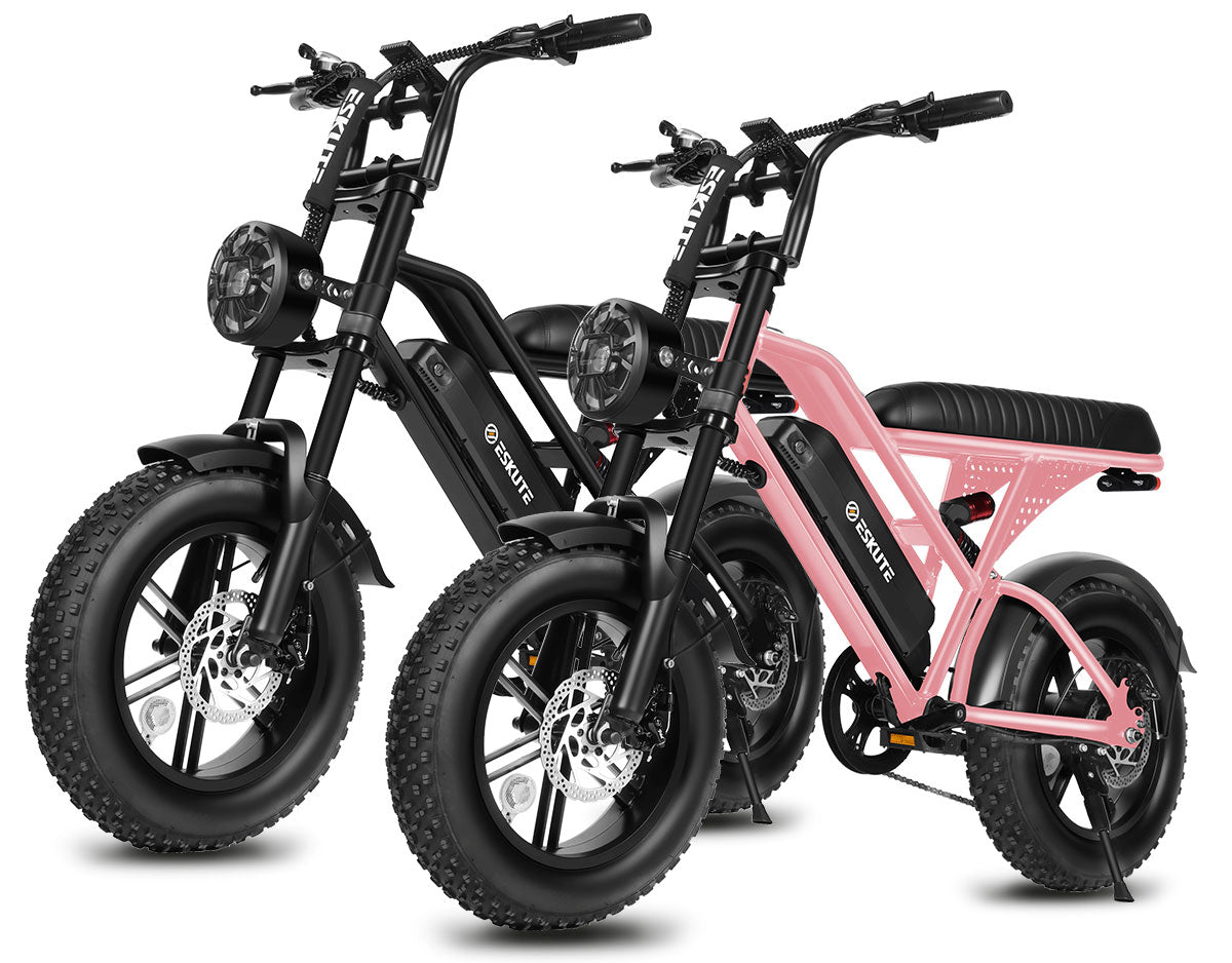 Eskute® Ebike Combo Sale V100*2