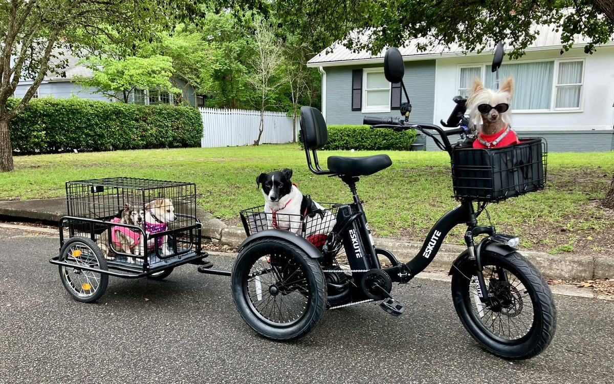 ESKUTE T300 Cargo Capacity: Can It Handle Your Shopping? – Eskute