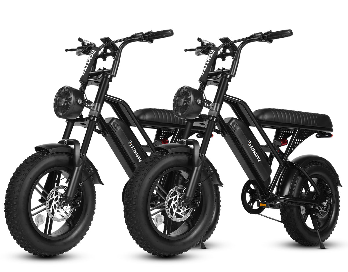 Eskute® Ebike Combo Sale V100*2