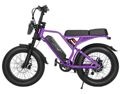 Eskute® V100 Pro 20*4.0" Electric Bike for Adults