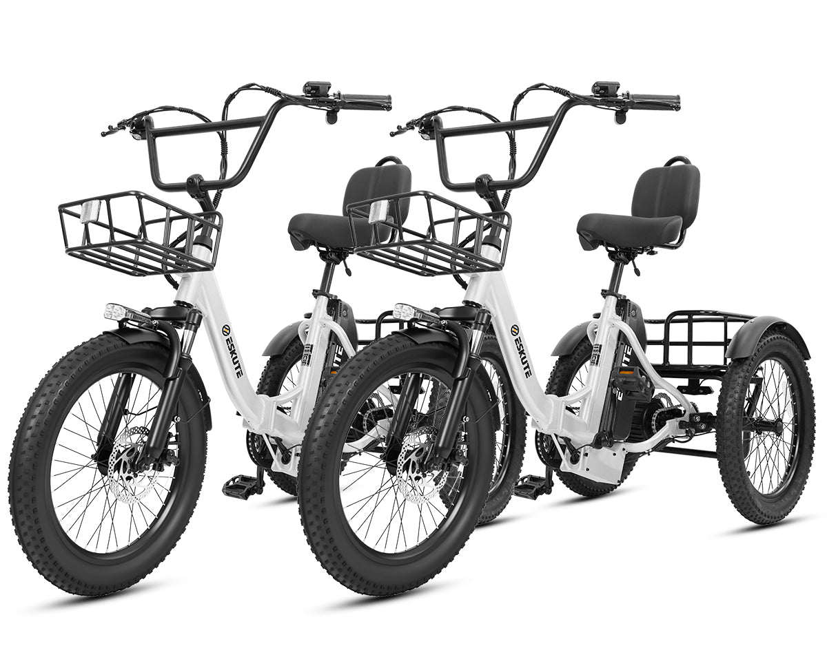 Eskute® Ebike Combo Sale T300Max*2