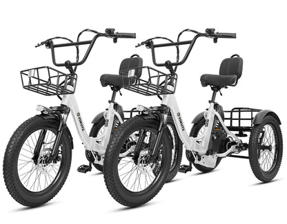 Eskute® Ebike Combo Sale T300Max*2
