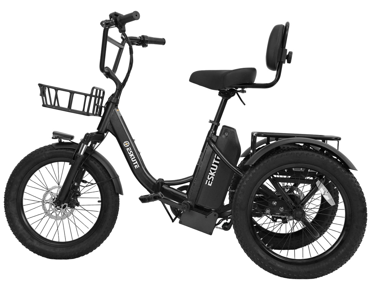3 wheel bicycle with gears Mobo Shift: The World's First Reversible Three-Wheeled Cruiser It rides great Single-Speed 24-Inch Adult Trike, Three-Wheel