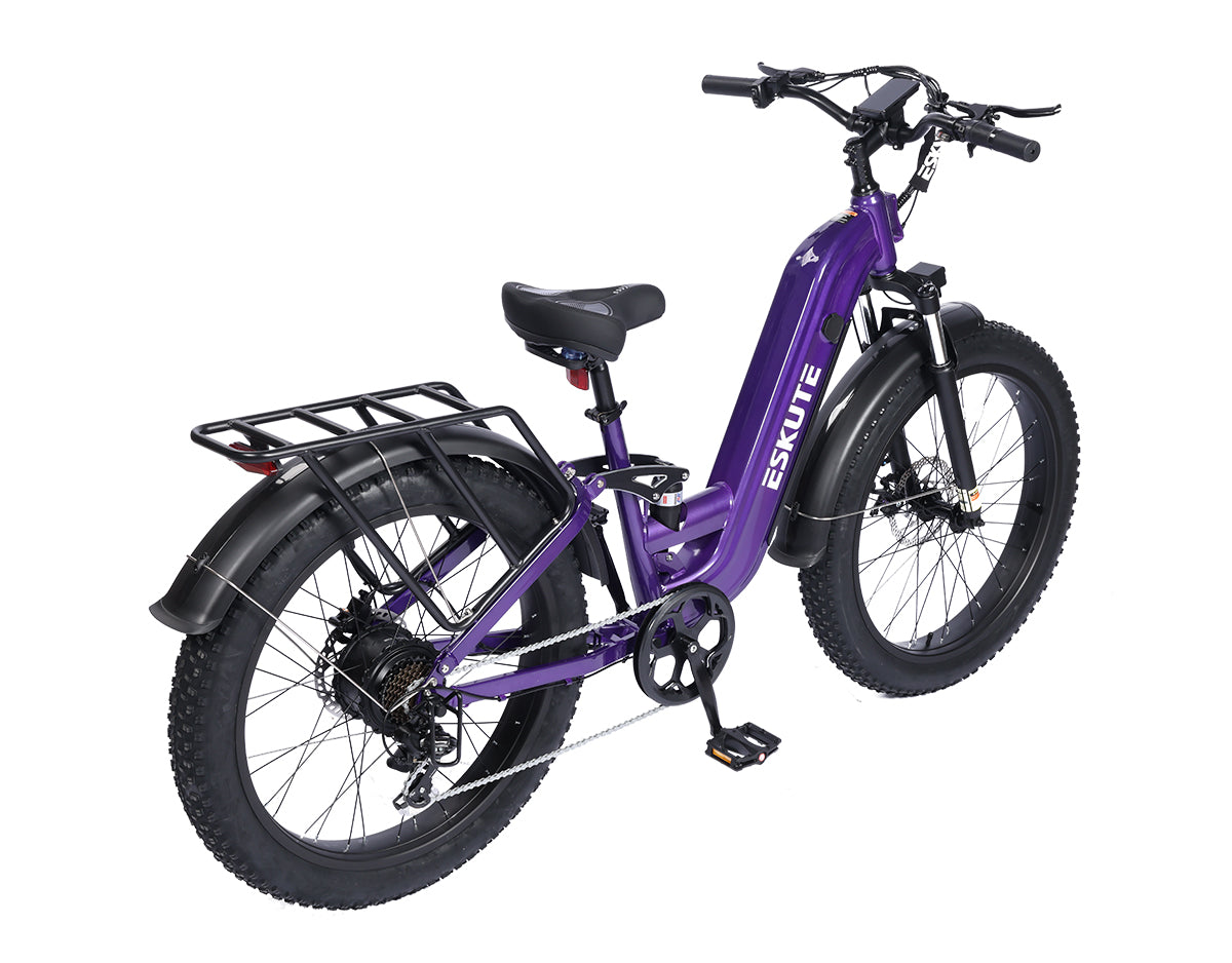 Eskute® C300R ST All-Terrain Electric Bike