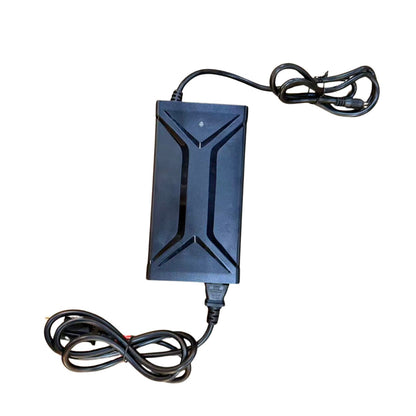 Eskute Ebike Fast Battery Charger