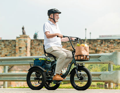 Eskute® T300 Folding Electric Trike