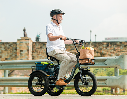 Eskute® T300 Folding Electric Trike