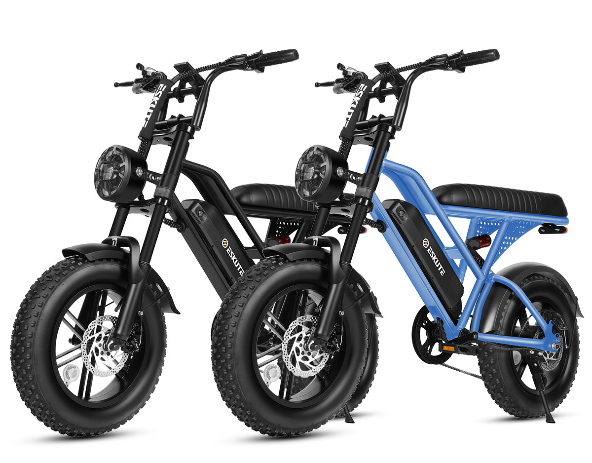Eskute® Ebike Combo Sale V100*2