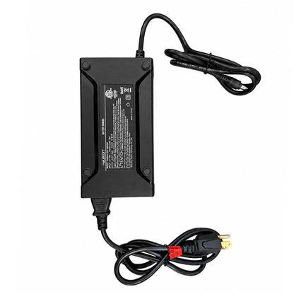 Eskute Ebike Fast Battery Charger