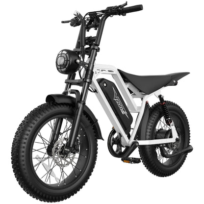 Eskute® V200 20*4.0" Electric Dirt Bike