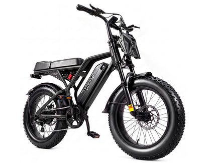 Eskute® V100 Pro 20*4.0" Electric Bike for Adults