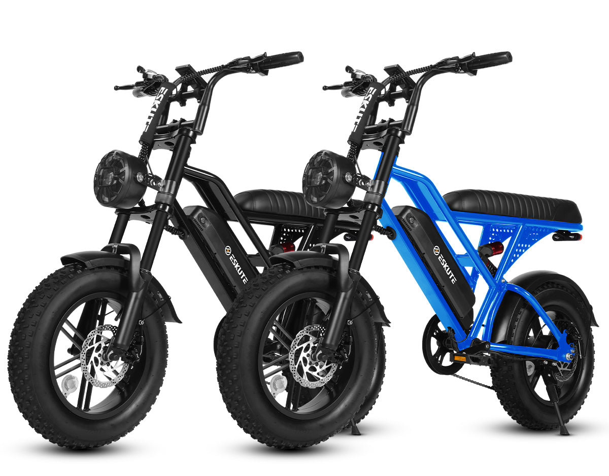 Eskute® Ebike Combo Sale V100*2