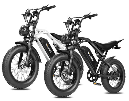 Eskute® Ebike Combo Sale V200*2