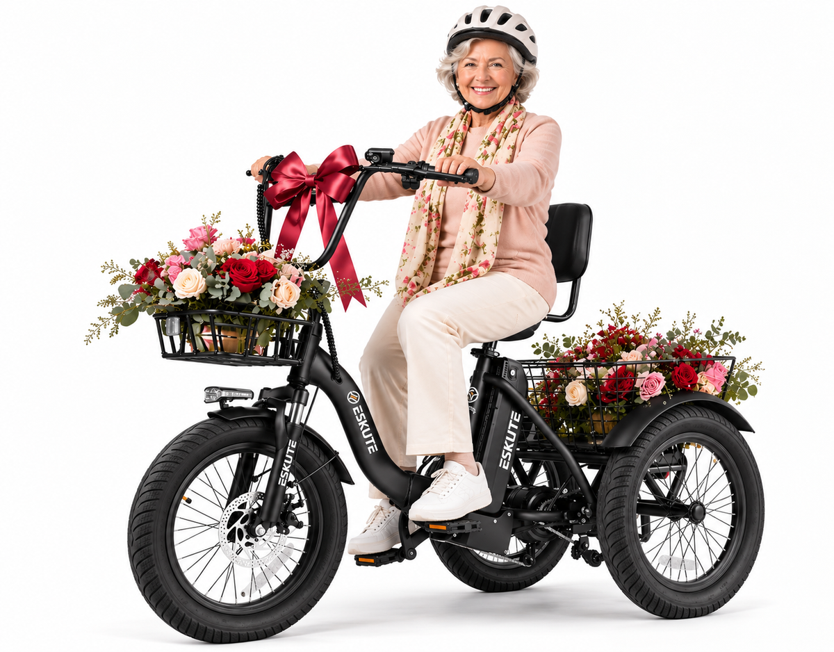 Eskute® T300 Folding Electric Trike