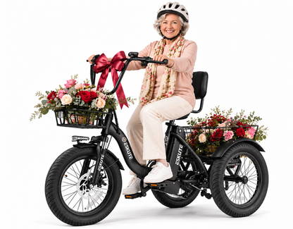 Eskute® T300 Folding Electric Trike