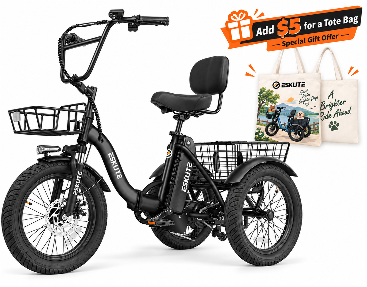 Eskute® T300 Folding Electric Trike