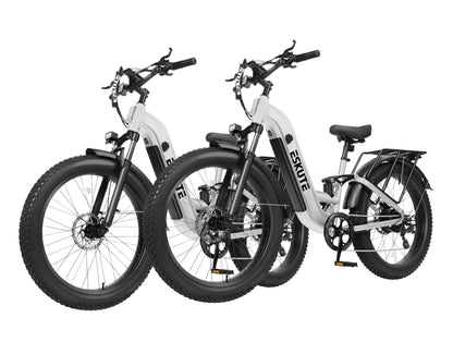 Eskute® Ebike Combo Sale C300R ST *2