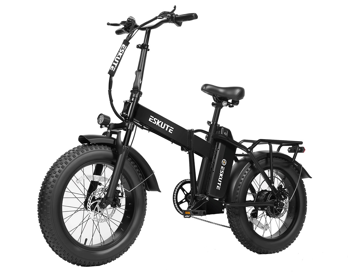Eskute® D300  Adventurer Ebike
