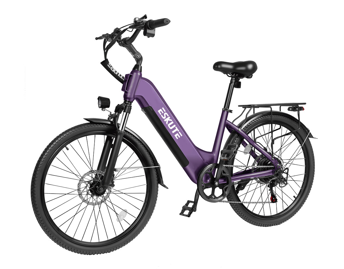 電気バイク　C-ute 1300W,48V20.8Ah Battery, 20