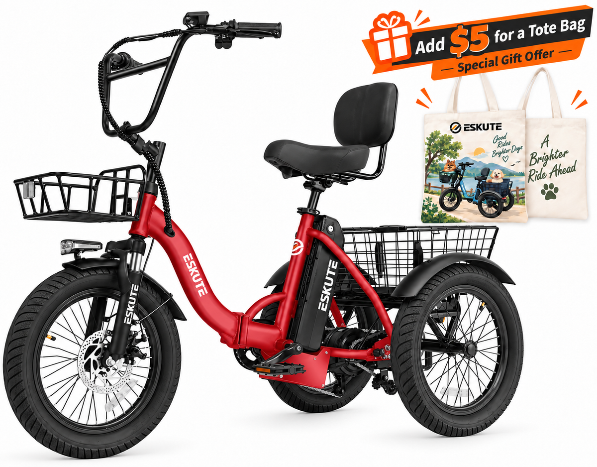 Eskute® T300 Folding Electric Trike