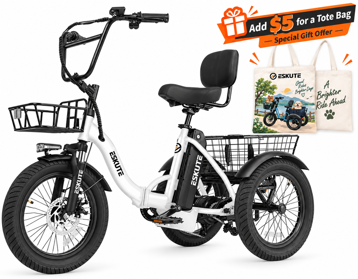 Eskute® T300 Folding Electric Trike