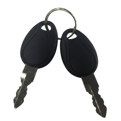 2* Ignition Keys