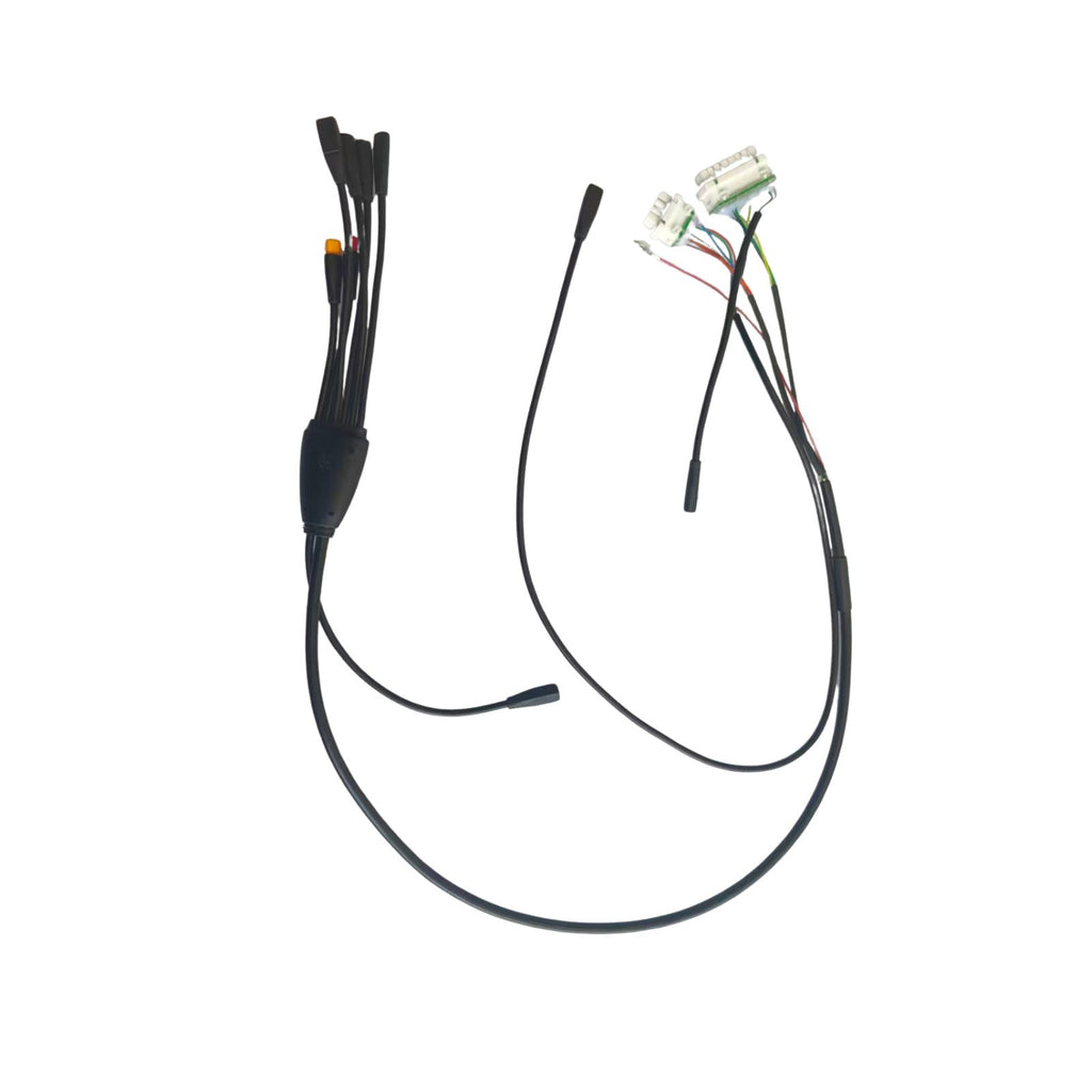 RTX Main Wiring Harness