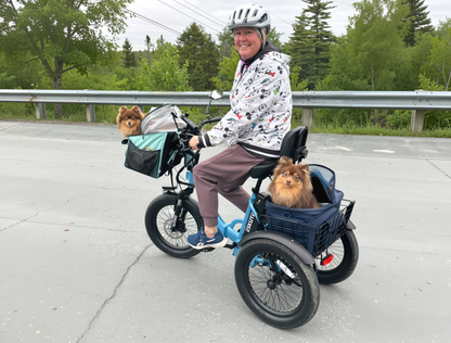 Eskute® T300 Folding Electric Trike