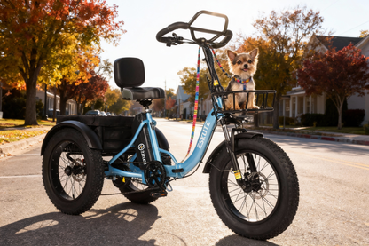 Eskute® T300Pro Folding Electric Trike