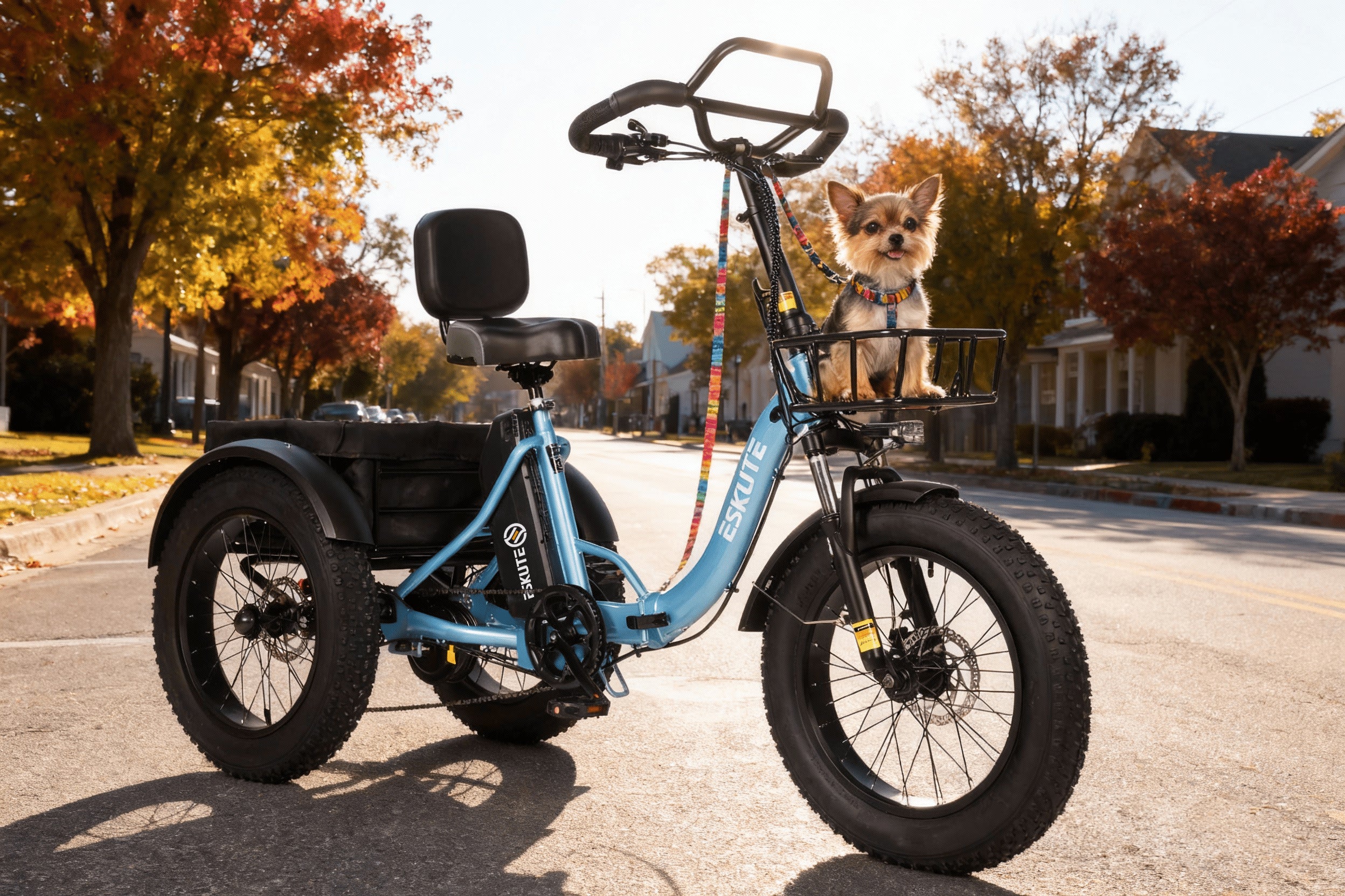 Eskute® T300Pro Folding Electric Trike