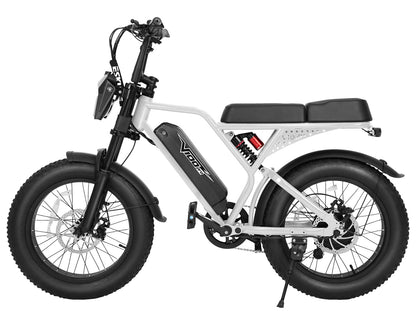 Eskute® V100 Pro 20*4.0" Electric Bike for Adults