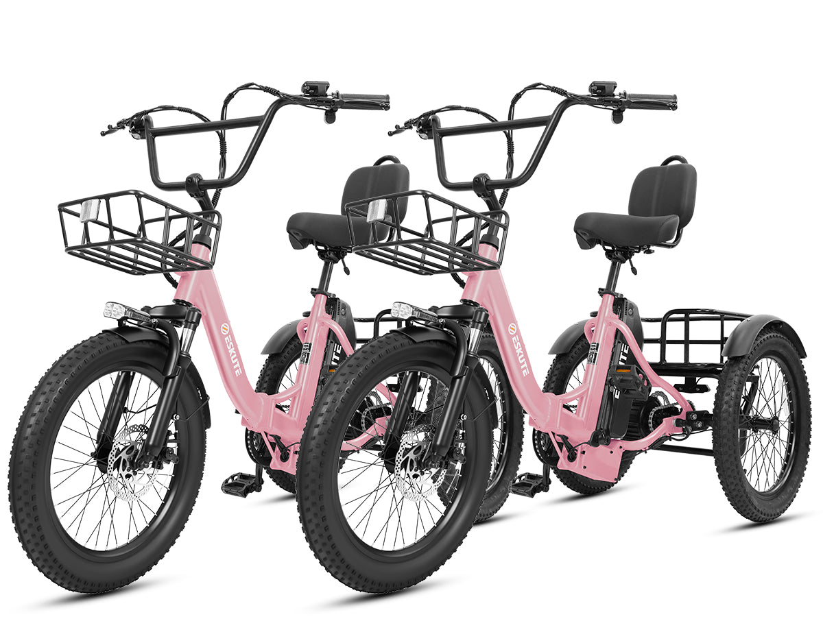 Eskute® Ebike Combo Sale T300Max*2