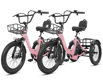 Eskute® Ebike Combo Sale T300Max*2
