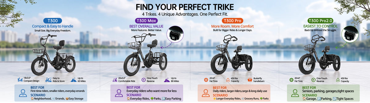 3 Wheel Ebike