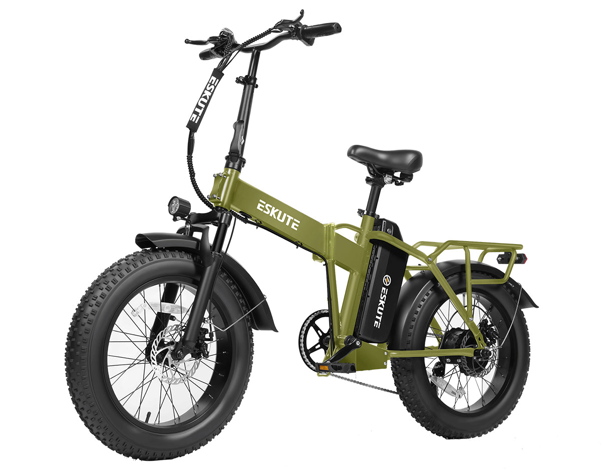 Eskute® D300  Adventurer Ebike