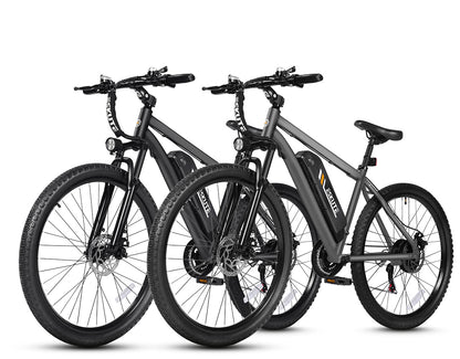Black+Gray / Standard Bike 48V10.4Ah