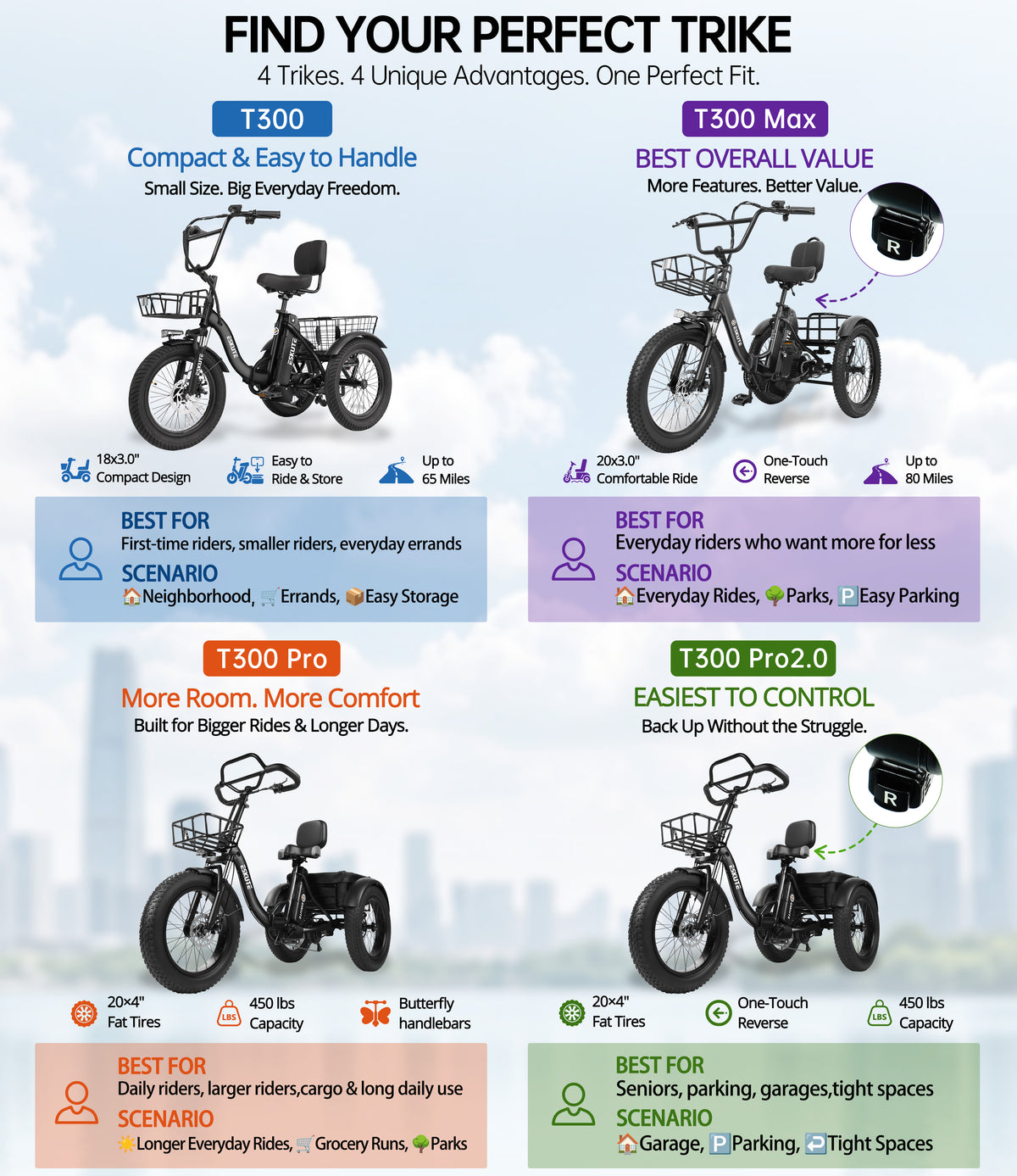 3 Wheel Ebike