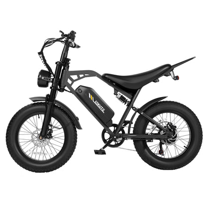 Eskute® V200 20*4.0" Electric Dirt Bike