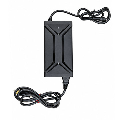 Eskute Ebike Fast Battery Charger