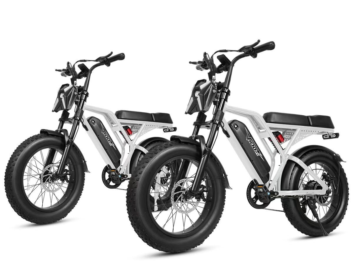 Eskute® V100 Pro 20*4.0" Electric Bike for Adults*2