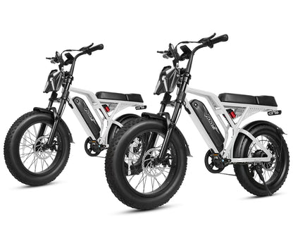 Eskute® V100 Pro 20*4.0" Electric Bike for Adults*2