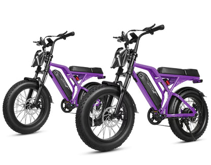 Eskute® V100 Pro 20*4.0" Electric Bike for Adults*2